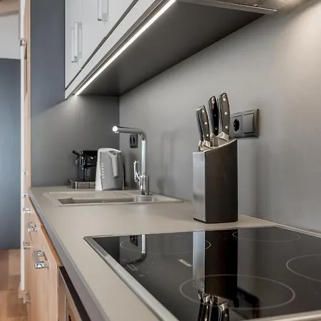 欧柏古格尔木屋豪华公寓酒店 4* 奥伯古格尔